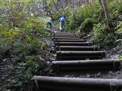 20181115hike (108)